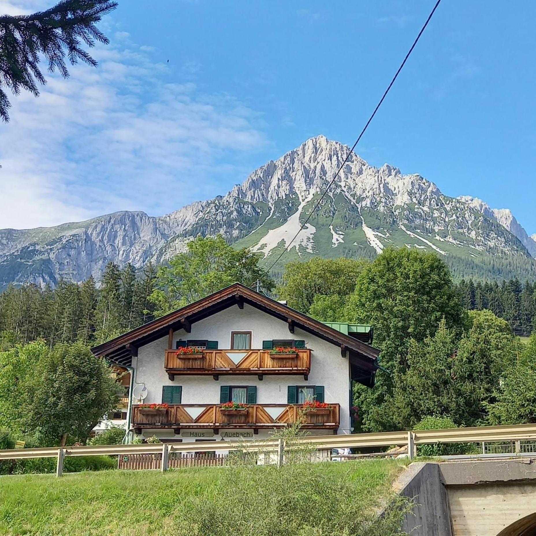 Apartment Haus Auebach *